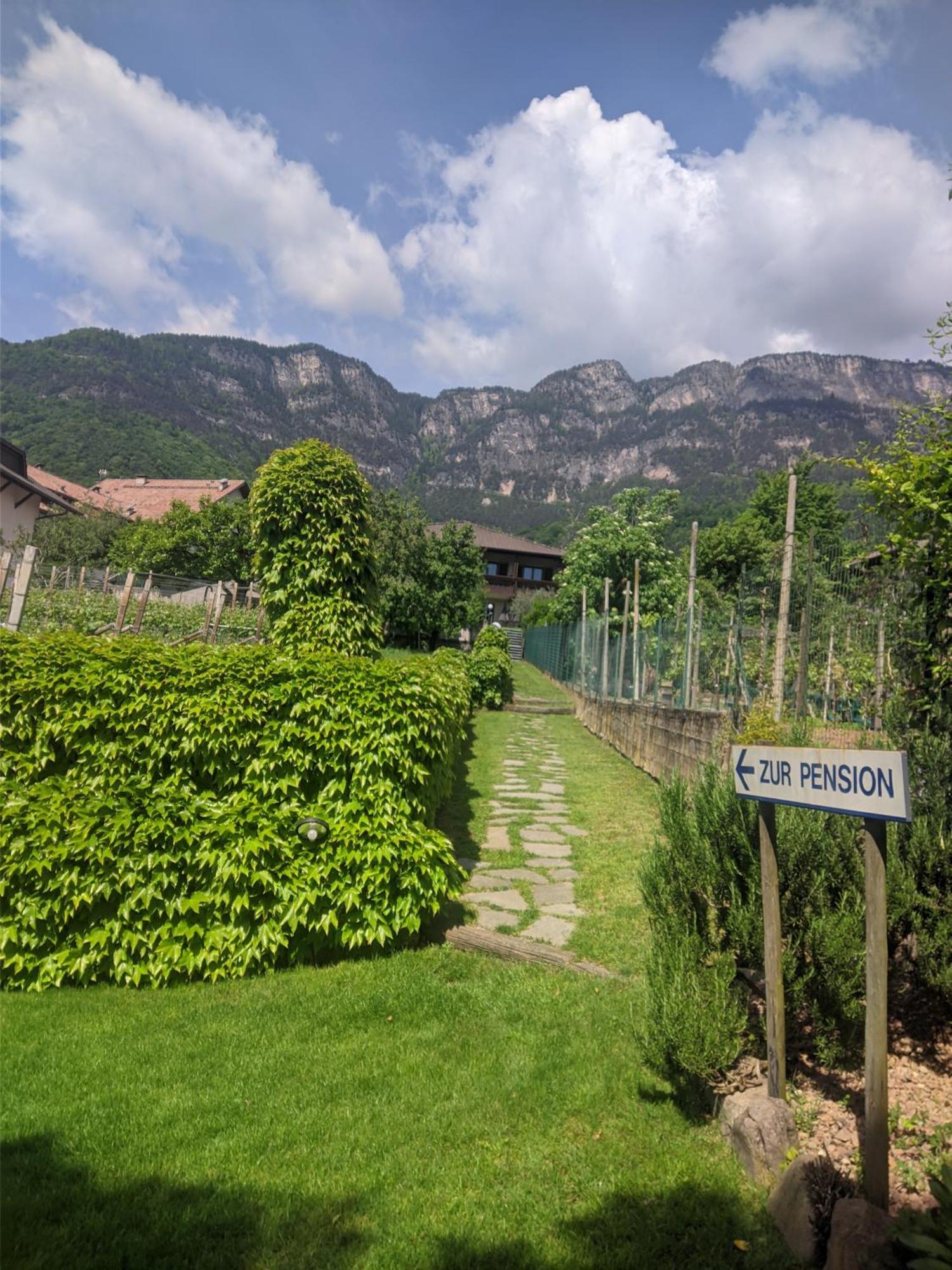 Garni Saltneregg Hotel Caldaro Bagian luar foto